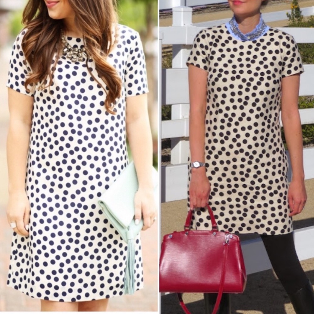J. Crew Scattered Spot Polka Dot Shift Dress - Picture 3 of 8